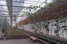 Application for greenhouse