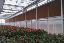 Application for greenhouse